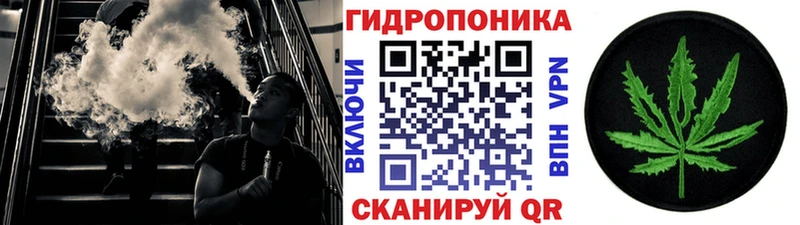 Конопля сатива  Инсар 